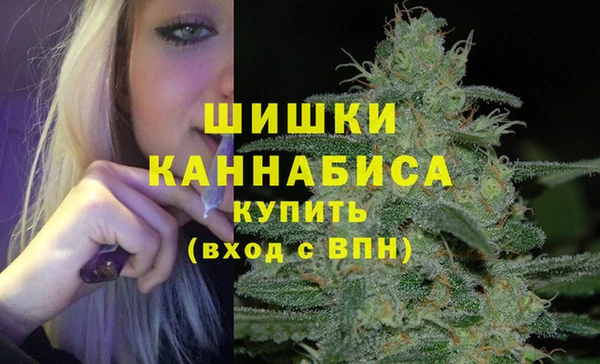 ешки Корсаков