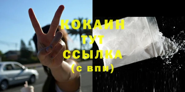 ешки Корсаков