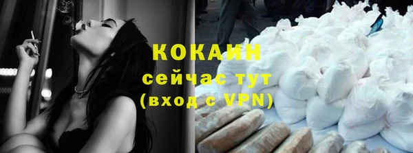 твердый Костерёво