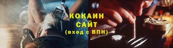 ешки Корсаков