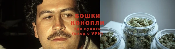 твердый Костерёво