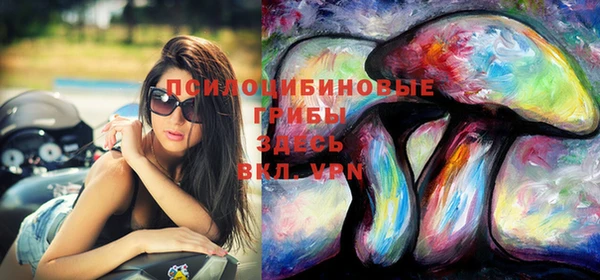 ешки Корсаков
