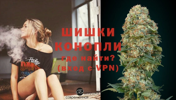 бошки Коряжма