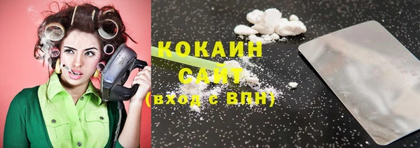 ешки Корсаков