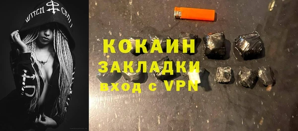 ешки Корсаков