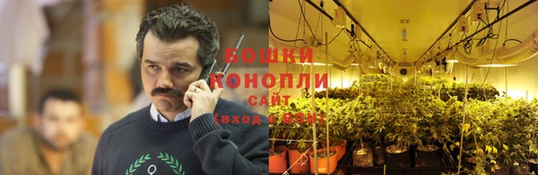 твердый Костерёво