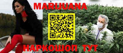 прущие грибы Гусиноозёрск
