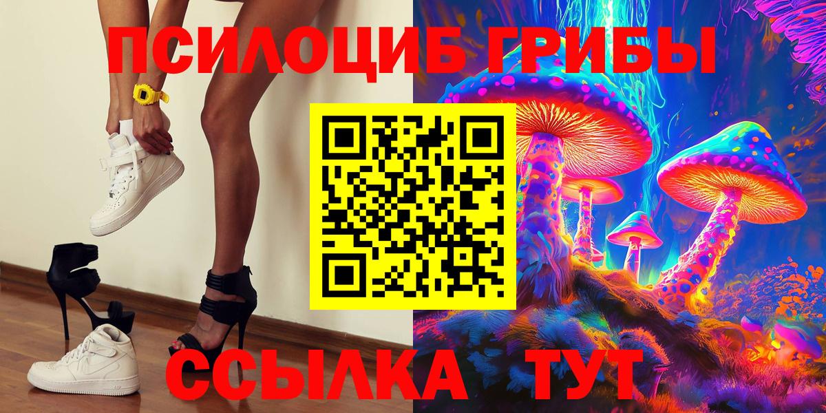 Псилоцибиновые грибы GOLDEN TEACHER  купить наркотики цена  Новокузнецк  Вход с VPN 