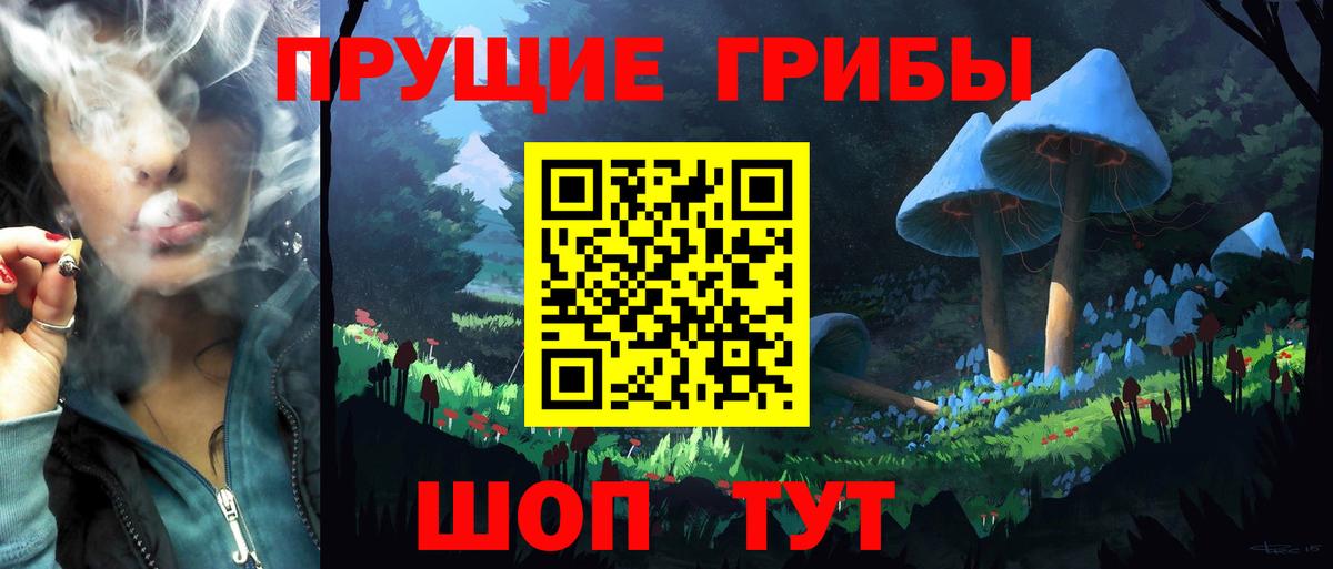 Псилоцибиновые грибы ЛСД Новокузнецк