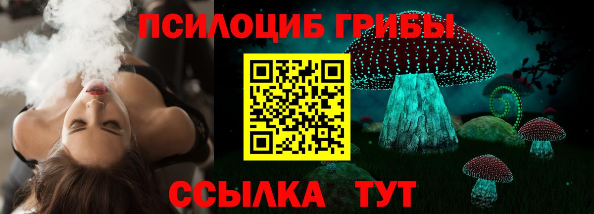 Псилоцибиновые грибы Psilocybe  Новокузнецк 